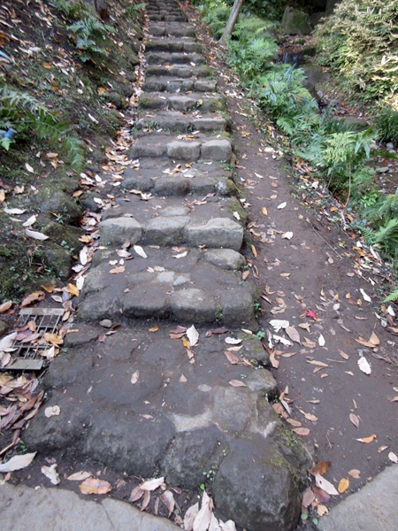 b0009849_9464543.jpg
