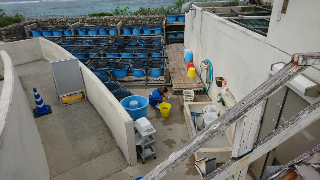 f0225750_12063185.jpg