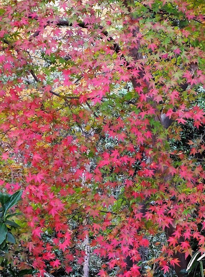 b0236251_13443800.jpg