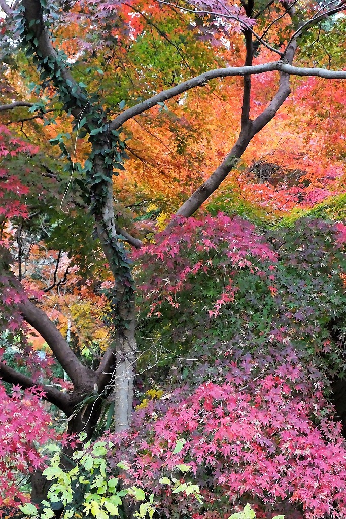 b0236251_13452296.jpg