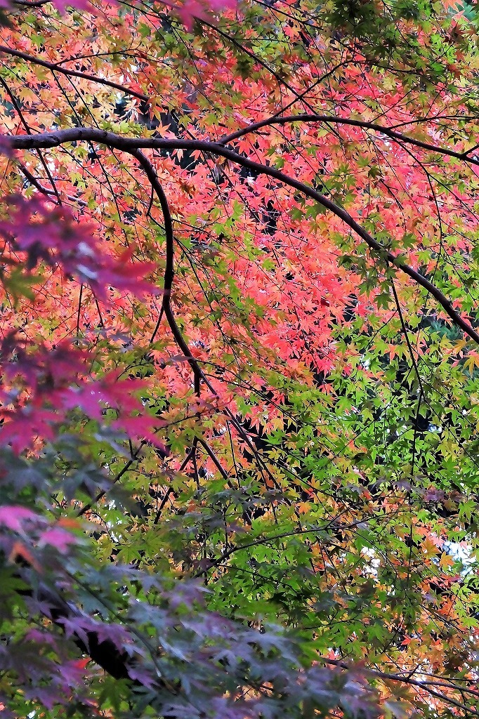 b0236251_13455622.jpg