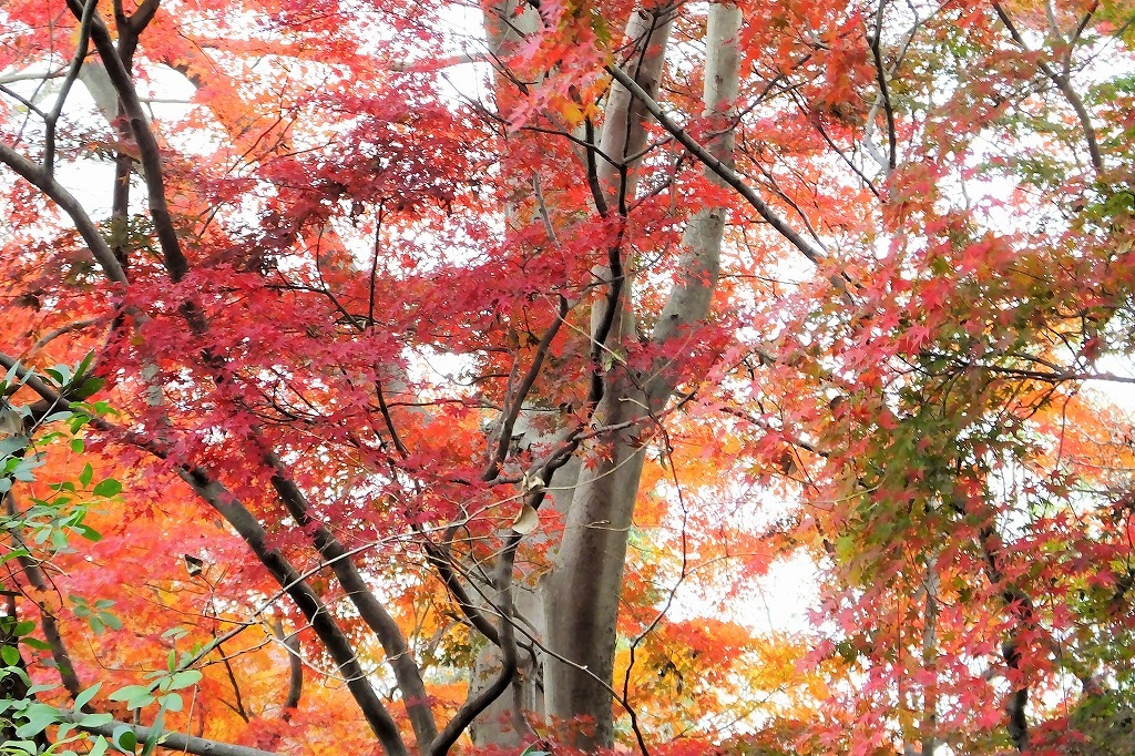 b0236251_13460196.jpg