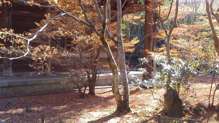 蓮花寺から御蔭神社へ_e0036151_21565537.jpg