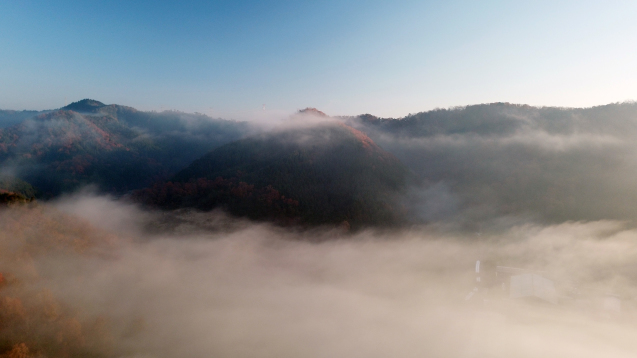 b0214652_17531134.jpg