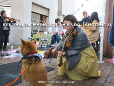 柴犬連れて\"円頓寺･秋のパリ祭2017\"を楽しむ♪@名古屋市西区【フォトムービーあり】_a0286855_06174639.jpg