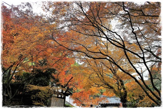 京都へ＜南禅寺と紅葉＞_f0338156_00202570.jpg