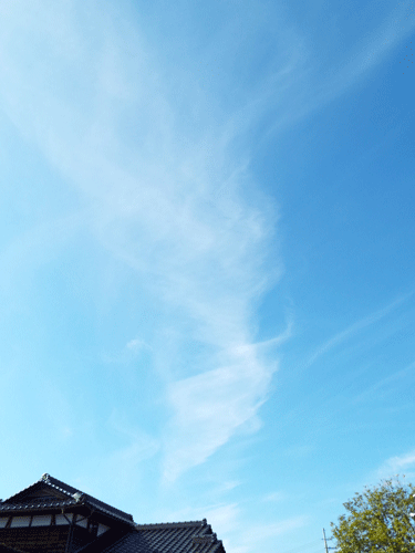 e0001558_11523298.gif