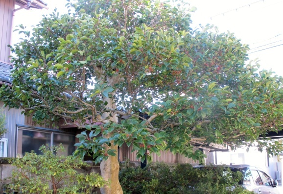 d0226259_17570304.jpg