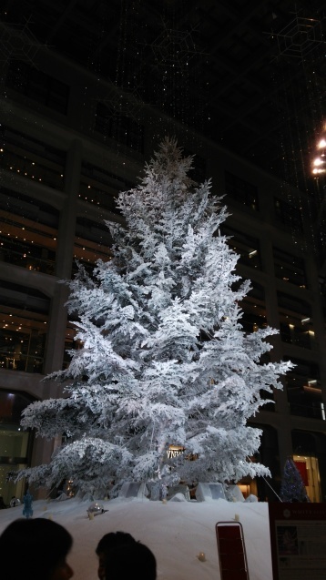 f0032766_13002429.jpg