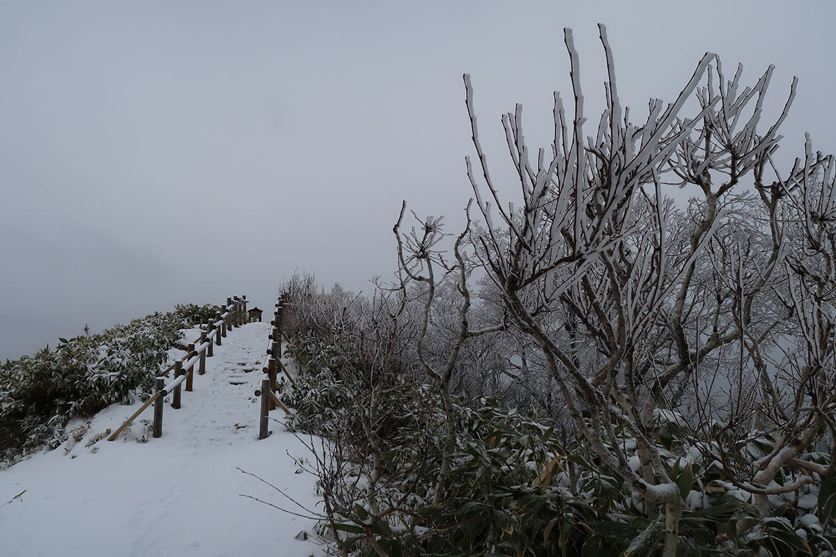 仁頃山　【　管理道　2017-18　】_f0054366_22424884.jpg