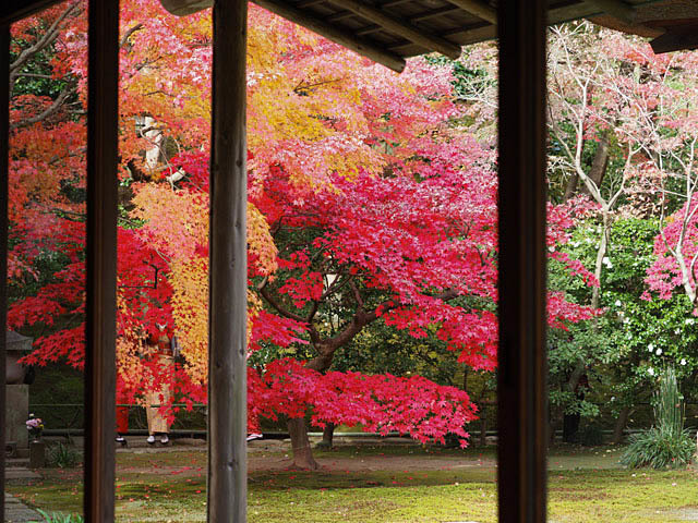 鎌倉 長寿寺の紅葉_f0199866_05122393.jpg