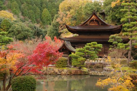 11/23～25、多治見「焼き物」の街へ・その2～「ギャルリももぐさ」「虎渓山 永保寺」_e0045768_20472600.jpg