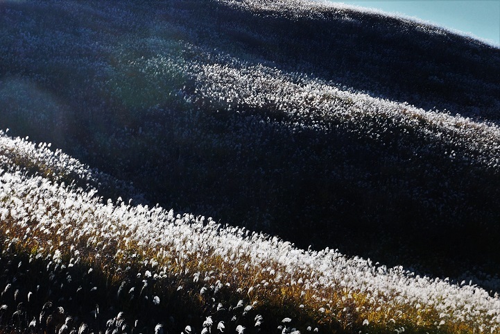 c0248473_16073992.jpg