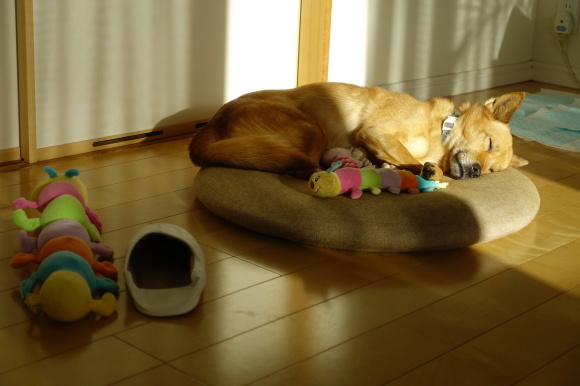 c0357573_14493736.jpg