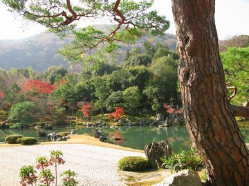 京都旅行その６　東寺・天龍寺_a0300177_17432035.jpg