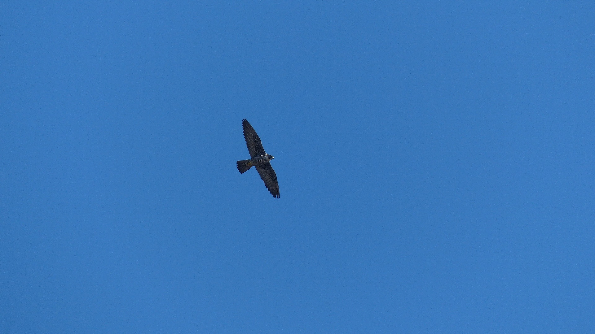 a0185081_21335257.jpg