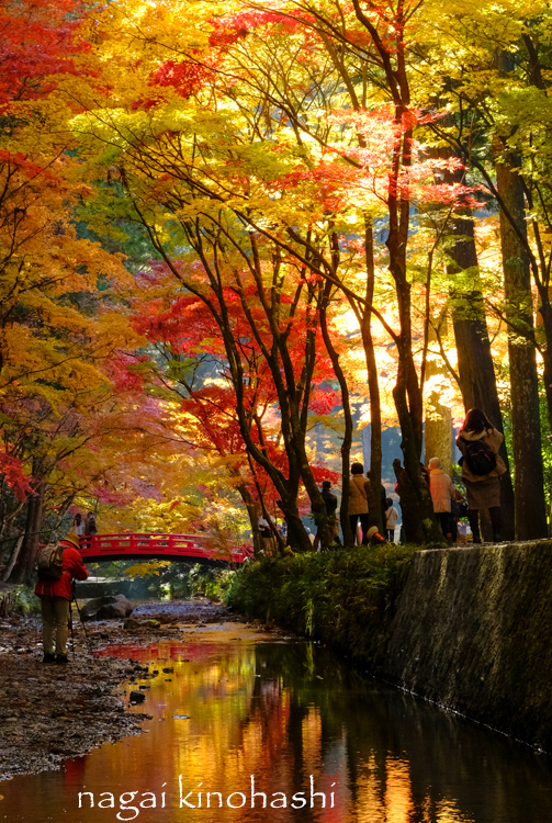 錦秋の小國神社_e0243382_21364569.jpg