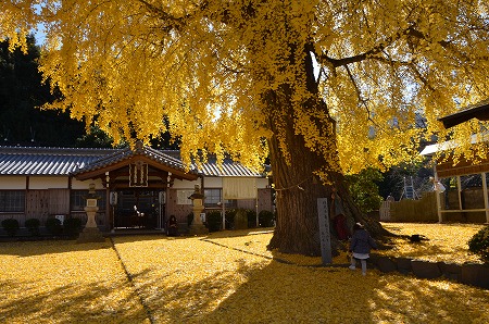 c0229483_1455828.jpg