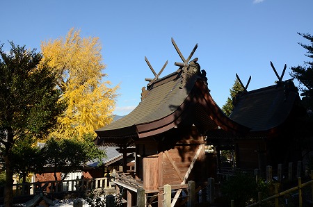 c0229483_16402.jpg