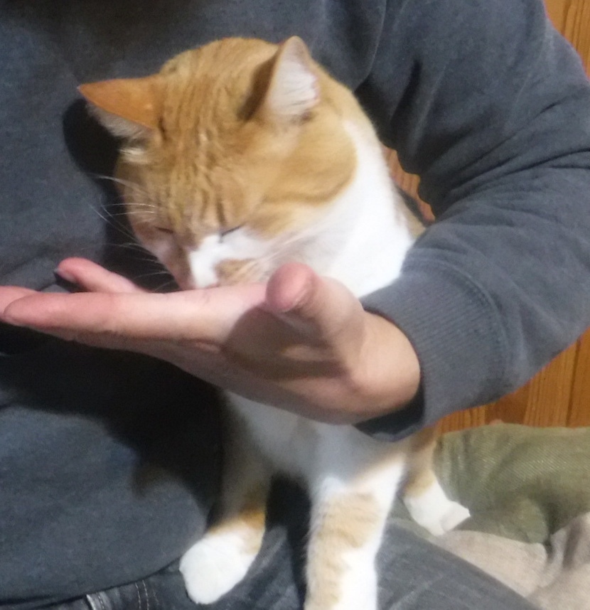 d0174683_12253717.jpeg