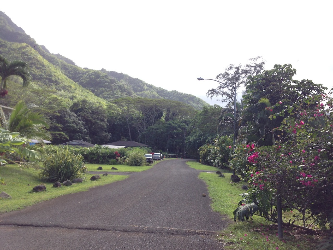 Hawai Bike Tour_b0087187_21042672.jpg