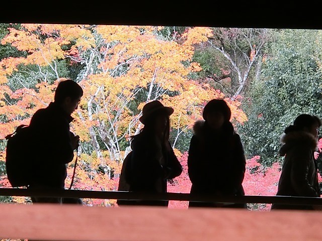 d0181492_08384918.jpg
