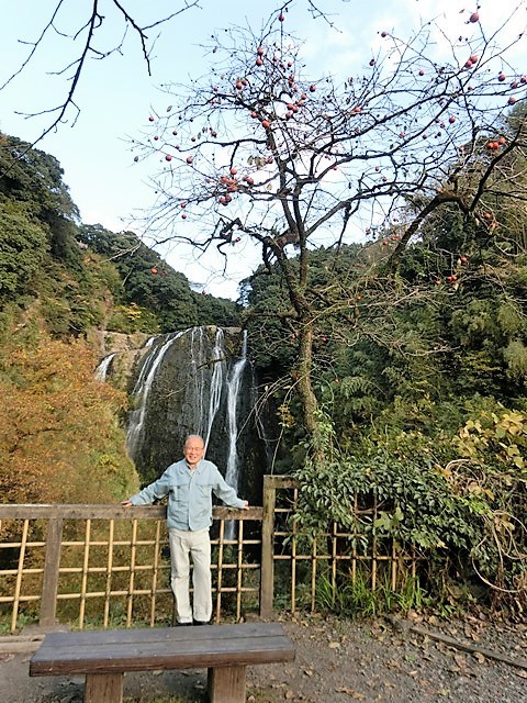 d0181492_17252341.jpg