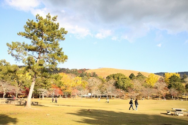 錦秋の奈良　2017奈良公園_f0374092_21090074.jpg