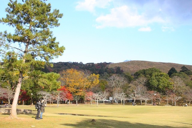 錦秋の奈良　2017奈良公園_f0374092_21153906.jpg