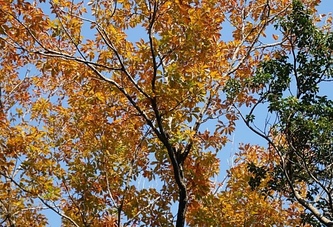 a0339396_23330963.jpg