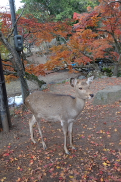 c0339296_13513582.jpg