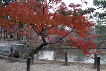 c0339296_13541160.jpg