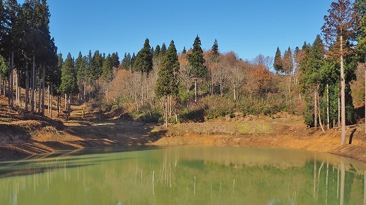 c0336902_19180832.jpg