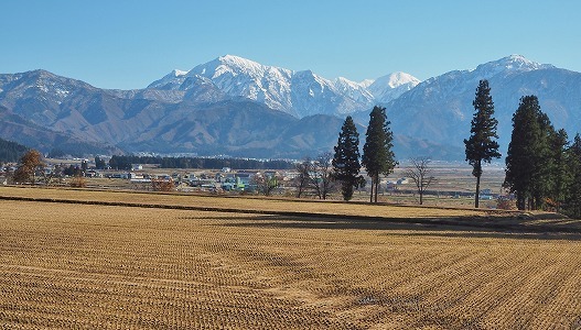 c0336902_19181743.jpg