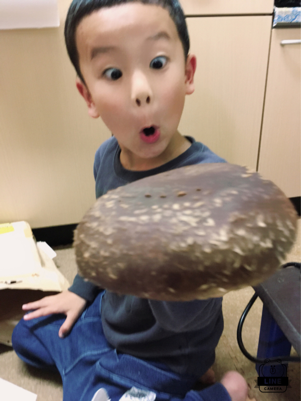 f0381302_12185395.jpg