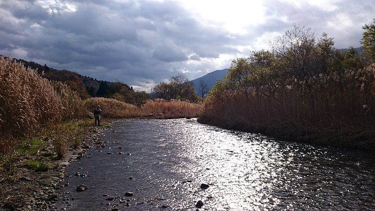 b0172805_01262876.jpg