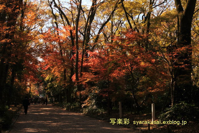 下鴨神社に行く4_b0191505_07381334.jpg