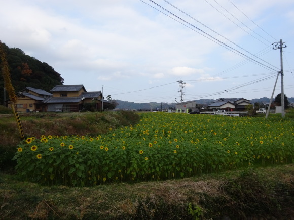 f0231709_18121384.jpg