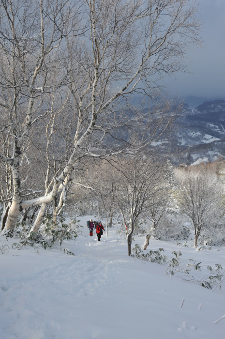 初冬の塩谷丸山へ_d0174510_10551301.jpg