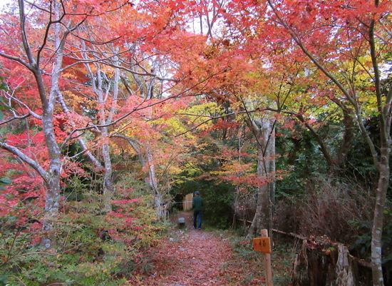 a0164011_11583610.jpg