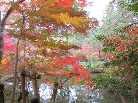 a0164011_11585336.jpg