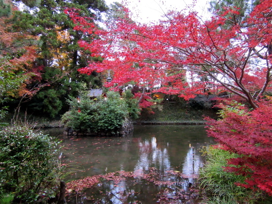 a0164011_12002031.jpg