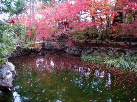 a0164011_12011695.jpg