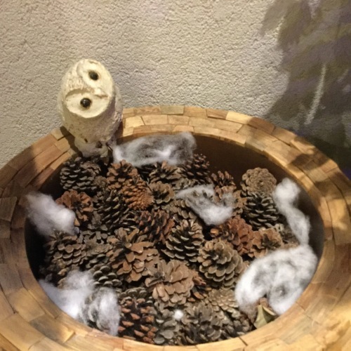 e0239312_14201948.jpeg