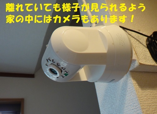 f0121712_13445535.jpg