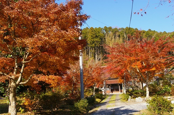 b0275715_17525354.jpg