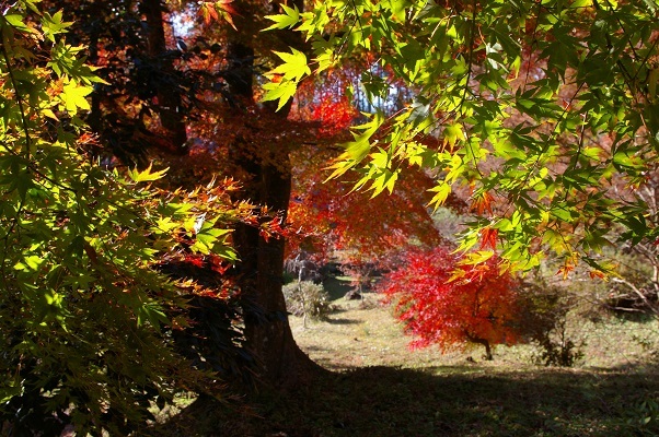 b0275715_17565676.jpg