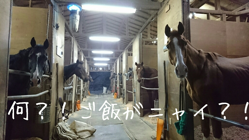 馬達の飼料_b0187620_20371355.jpg