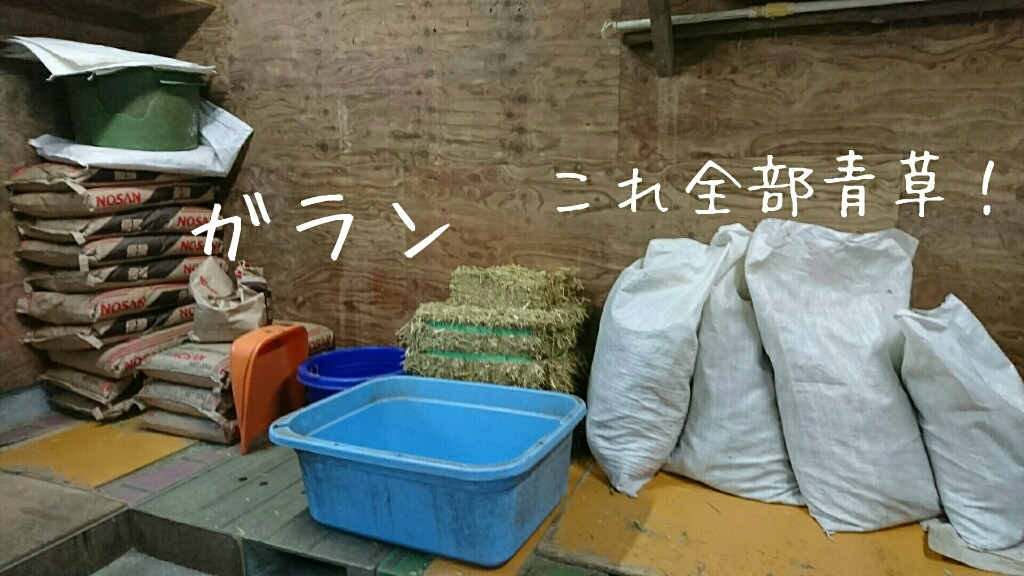 b0187620_20372788.jpg