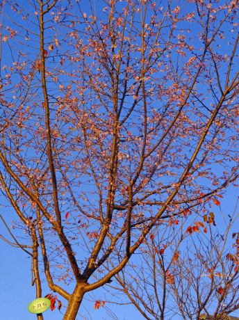 b0215220_15484269.jpg